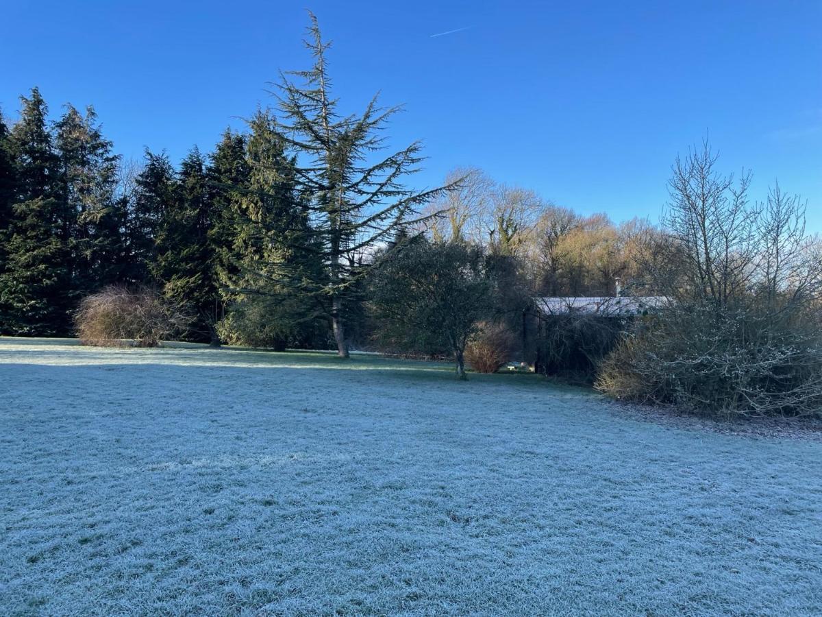 Cosy Cabin In Annie'S Meadow West Meon Bagian luar foto